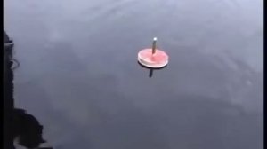 Ловля щуки на живца, рыбалка на кружки