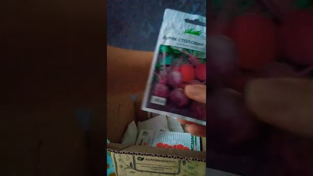 Распаковка посылки с Агромаркета семена смотреть онлайн