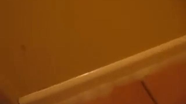 How to remove Stray Cat urine Odour in a Hallway смотреть онлайн