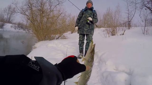 Щука на Съедобный силикон Fanatik Viper 2.9 Джиг Рыбалка ловля щуки весной на Спиннинг Aiko Ranger смотреть онлайн