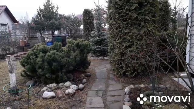 Основные принципы ОБРЕЗКИ метельчатой ГОРТЕНЗИИ☘ смотреть онлайн