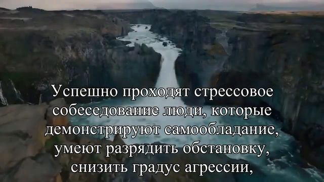 Собеседование в стиле «стресс» — Статья смотреть онлайн