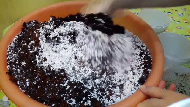 Как приготовить почвогрунт для рассады. смотреть онлайн
