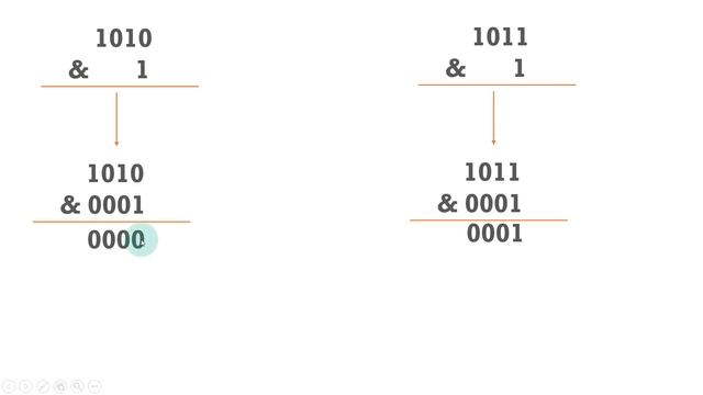 Solution 2 - Count set bits in a number | Masking and Right shift operation | Bit Manipulation смотреть онлайн