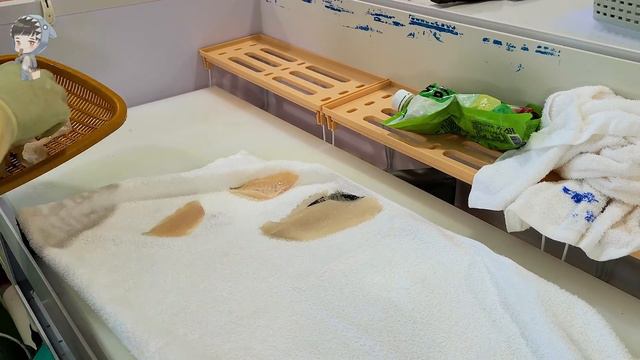 Assorted Seafood Sashimi Songdo Fish Market Pohang Korea 포항 송도 활어회센터 해물모듬회 06 sea squirt abalone et смотреть онлайн