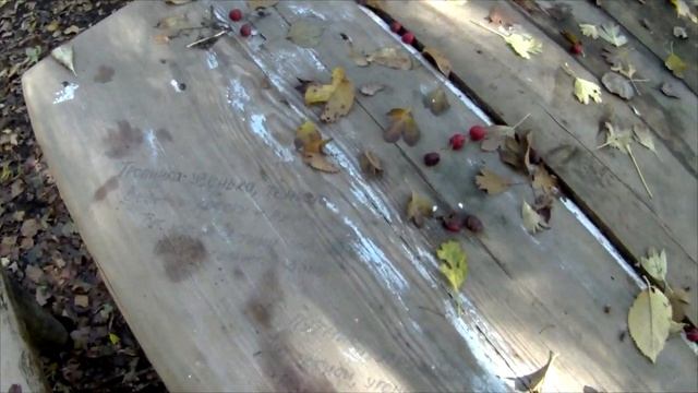 Велосипедная поездка на мемориал в с.Чапаевка. Нашел родник! Отдых в степи у кургана. смотреть онлайн