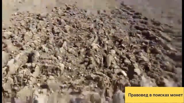 Копаю на новом поле выпуск#8 смотреть онлайн