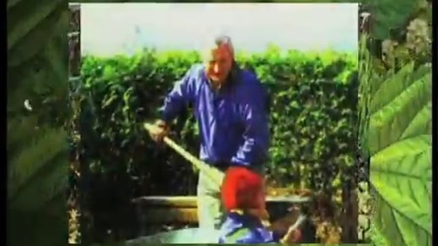 Завязь смотреть онлайн