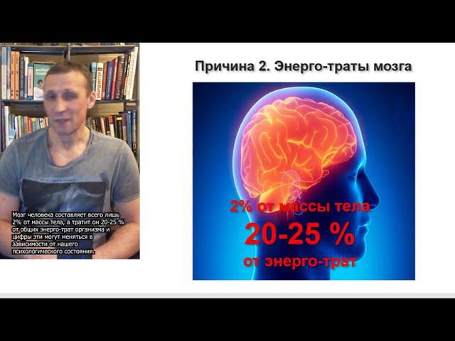 Лишний вес 5. Энергия мозга.
