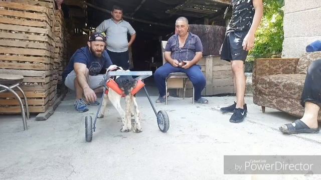 Добрая машина для Мики)) смотреть онлайн