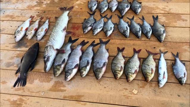 БАЗА ОТДЫХА АНДОЗЕРО