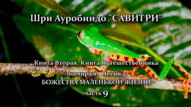 САВИТРИ: поэма-предсказание будущего Земли.Фрагмент 112. - Оживлённая голосом Индрани (И.Пальчикова смотреть онлайн