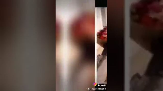 Новая цыганская полька смотреть онлайн