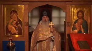 НУЖНА ЛИ нам СОВЕСТЬ? Схиигумен Гавриил (Виноградов-Лакербая). Кавказский #скитВалаама.