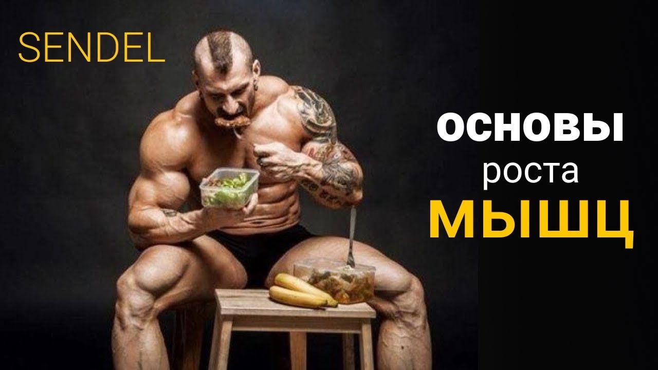 КАК НАКАЧАТЬ МЫШЦЫ? 5 ГЛАВНЫХ ПРИНЦИПОВ РОСТА МЫШЦ. смотреть онлайн