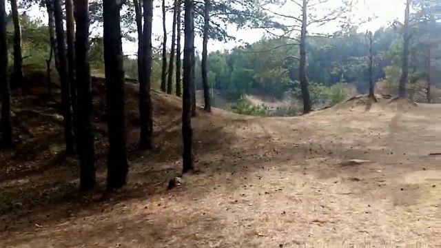 Челябинский городской бор на амз, каменные карьеры, обзор