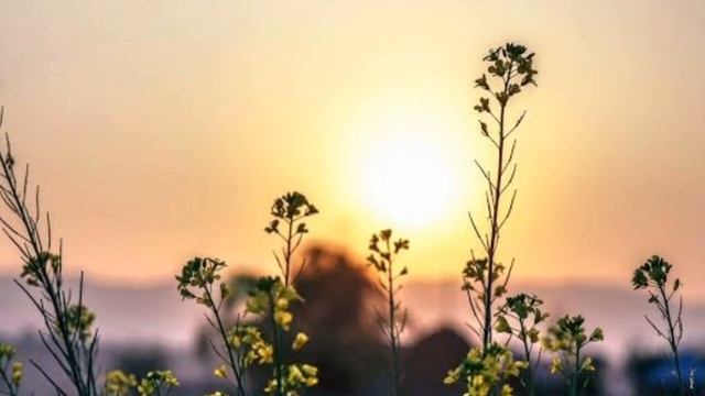 Surah An-Nur (surah ke-24 dalam al-Qur'an) смотреть онлайн