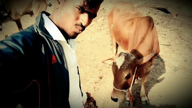 #khushiyan_deti_hai_Yogesh_Waghmare смотреть онлайн