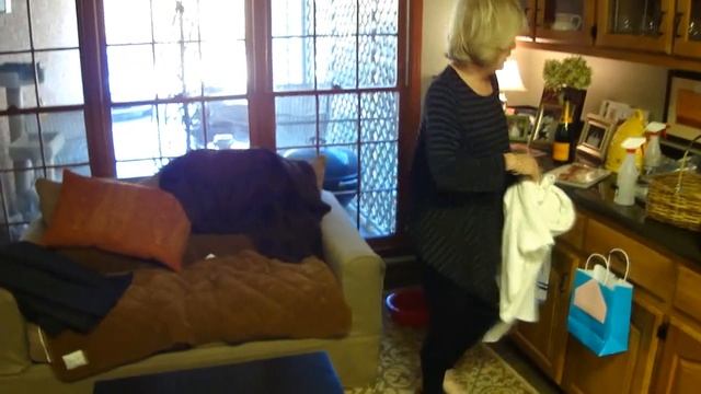 Eliminate Cat Urine Stains, Smells, and Odors from Wood Floors & Surfaces смотреть онлайн