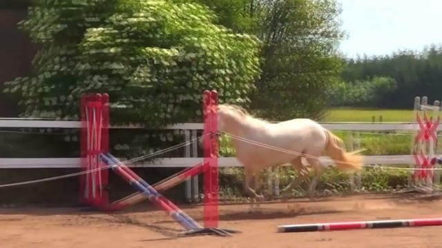 Жеребёнок, жеребёнок - Белой лошади ребёнок смотреть онлайн