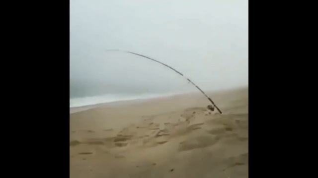 ШОК РЫБАЛКА 2020 / Я РЖАЛ ДО СЛЕЗ НА РЫБАЛКЕ / ПРИКОЛЫ НА РЫБАЛКЕ 2020 смотреть онлайн