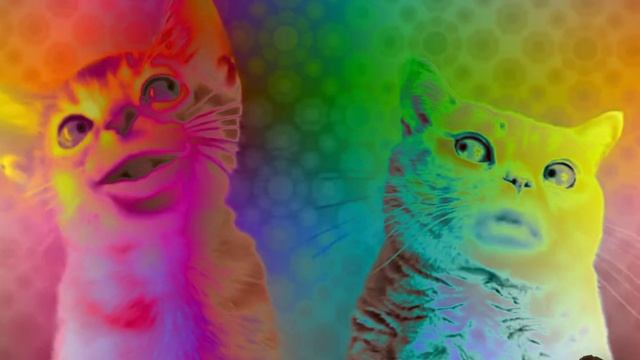 Preview 2 Numa Cat Effects Effects смотреть онлайн