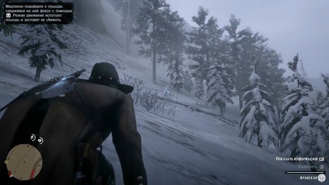 ЛУЧШАЯ БЕСПЛАТНАЯ ЛОШАДЬ В RDR2 / Где Найти & Как Получить - Арабская Белая / Red Dead Redemption 2 смотреть онлайн