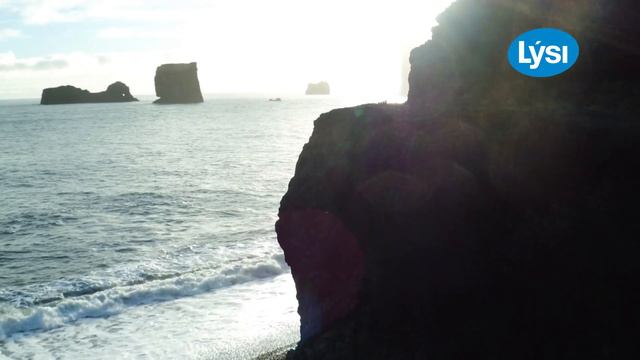 Lysi puhdas omega-3 kalaöljy смотреть онлайн