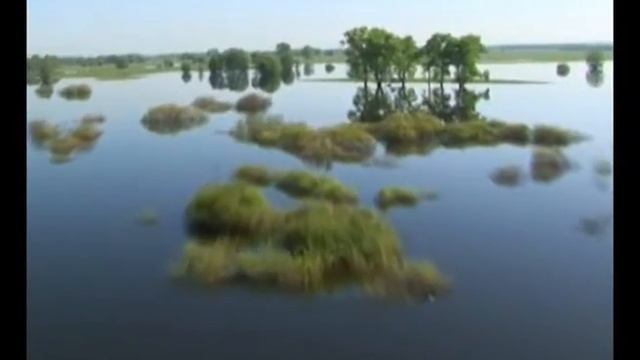 Правительство выделит 14 млрд.руб на развитие областного туризма смотреть онлайн