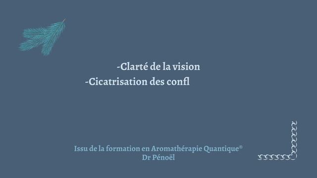 Sapin Baumier-Abies alba смотреть онлайн