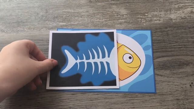 Дидактическая игра «Рентген»/Animal X-Rays Matching Activity