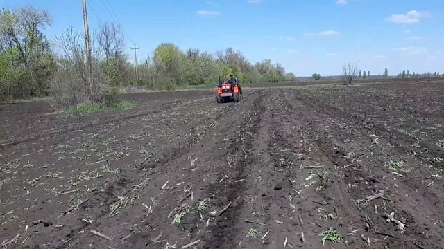 Шифенг 354. Продолжаем работать