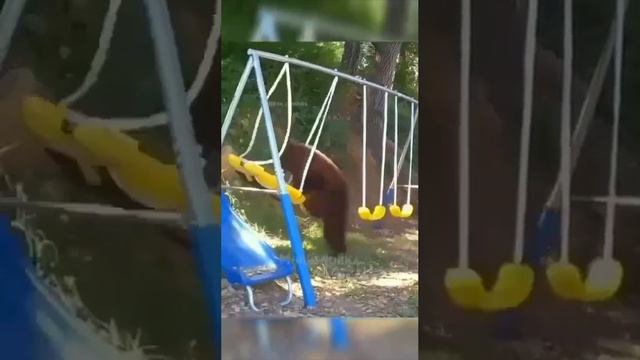 1000002209.mp4 смотреть онлайн