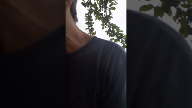 Обзор пылесоса Kirby смотреть онлайн