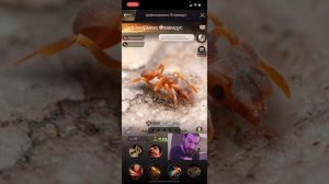 The Ants. Underground kingdom. Новичкам специальные муравьи