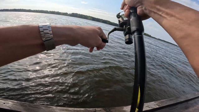 Эпическое сражение с гигантским карпом - рваная оснастка, вес 35 кг! смотреть онлайн