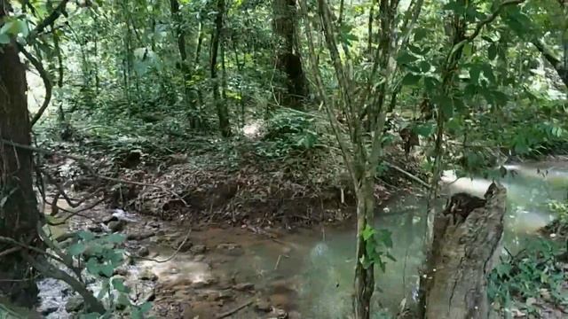 Самана, Бакарди, Водопад лимон, Океан дикий пляж Доминикана смотреть онлайн