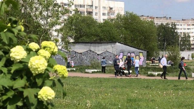 Все на прогулку! #БликиЖизни смотреть онлайн