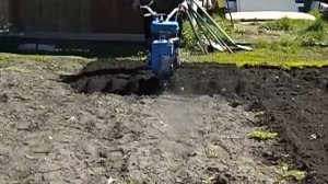 Вспашка мотоблоком НЕВА. 8 фрез, ширина 1,9/мотоблок НЕВА