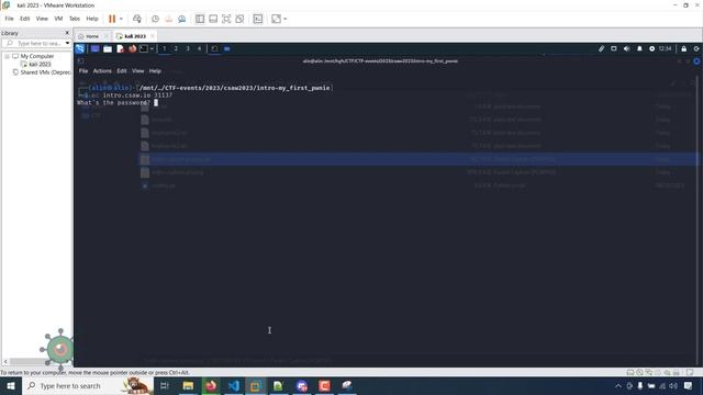 CSAW2023 qualification CTF 2023 | pwn writeup | Arbitrary Code Execution | Python eval function смотреть онлайн