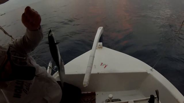 Морская рыбалка на средиземном море.Тунец обломался!!!! смотреть онлайн