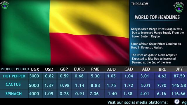Benin Agriculture News Update (December 22, 2022) смотреть онлайн