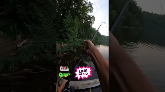 Fishing & Hunting 20230810 Soft Tube Bait Japan Plastic Frog Shape Fishing Lures Treble Hooks To смотреть онлайн