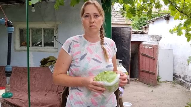 Нашла ему замену) Лена сварила вкусный суп, Готовим желе, Игрушка для Альма, Жизнь в частном доме смотреть онлайн
