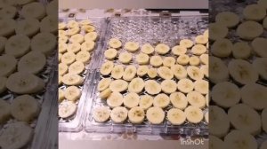 Сушеный банан и тыква в дегидраторе (сушилке)