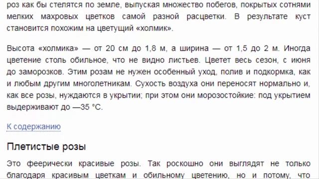 Розы для сада. 6 типов роз. Описание и уход. Какие розы посадить в саду? смотреть онлайн
