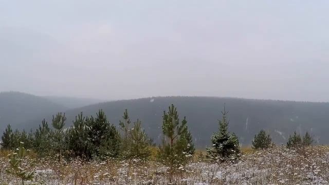 Город Чусовой смотреть онлайн