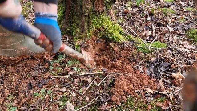 Wow artefacts found and lots of coins - bullet - Quest x10 Pro - Nokta Pointer смотреть онлайн