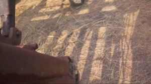 Самодельные вилы на кун, погрузка навоза