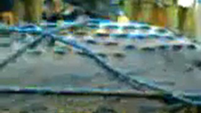 Пойман крокодил весом в 1000 кг!!!! смотреть онлайн